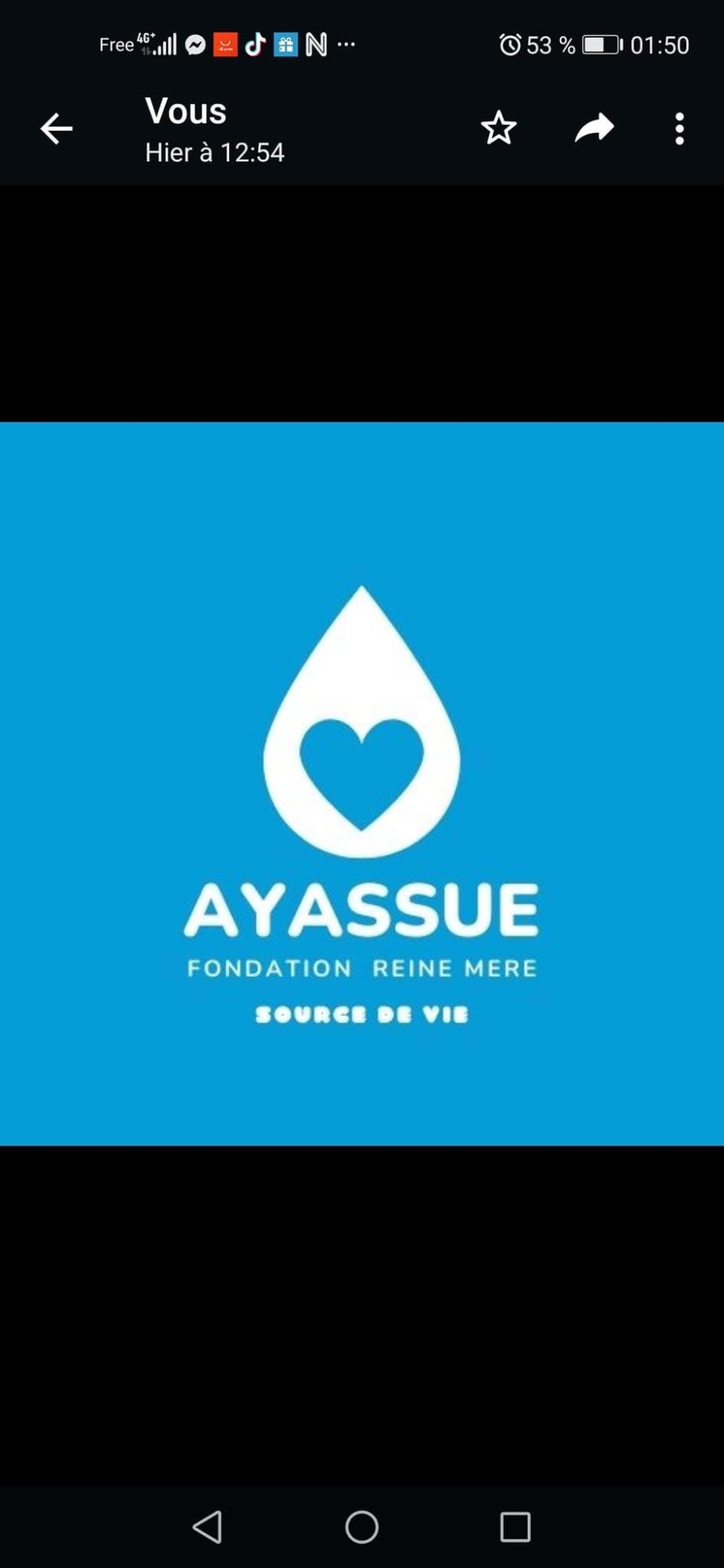 Logo Ayassué Reine Mère